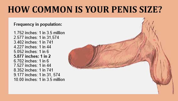 Penis, Measuring, Size, Ranking, Average, Above, Large, Rate, National, Data